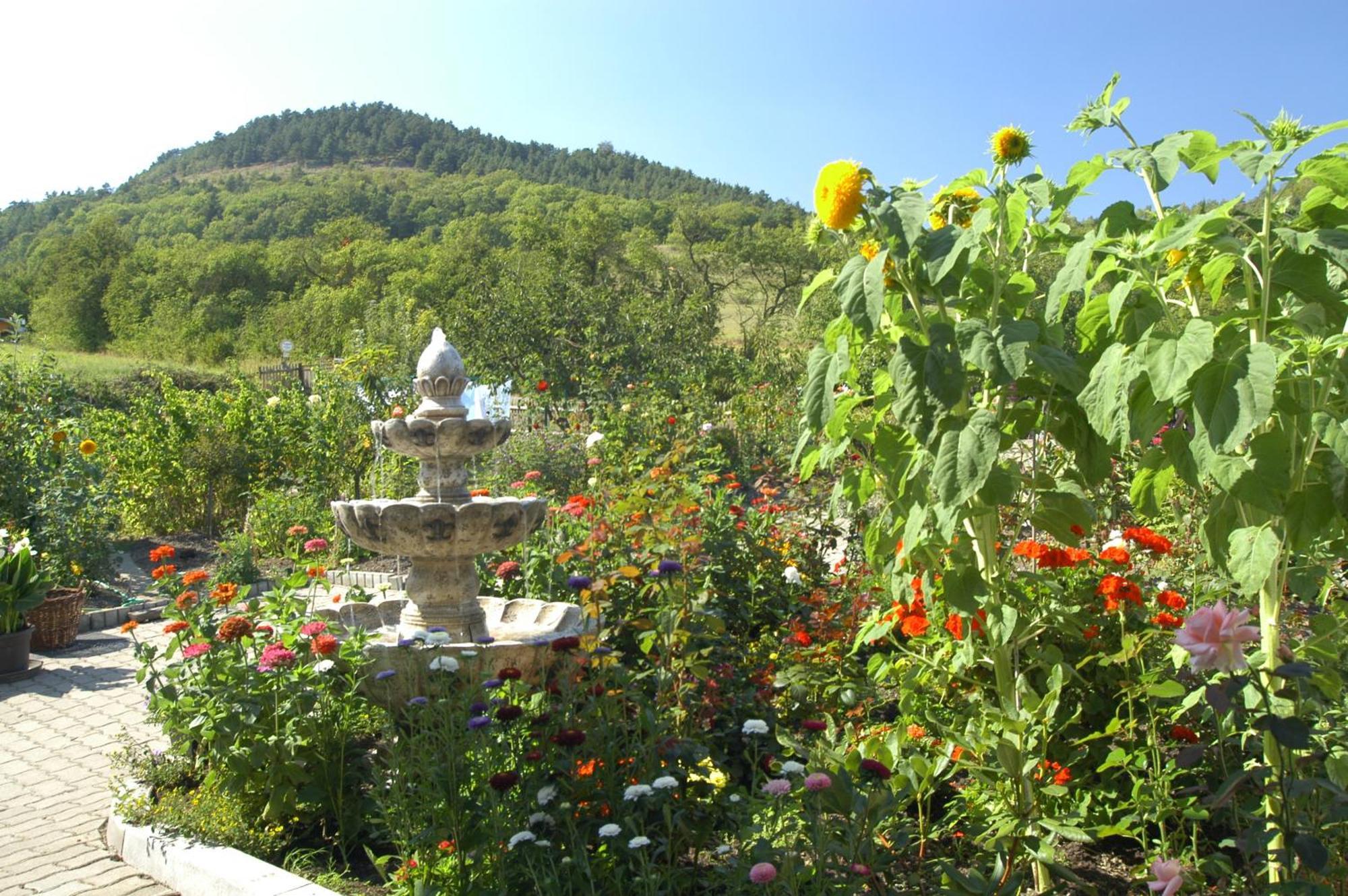 Hotel Haus Orchideental Ена Экстерьер фото